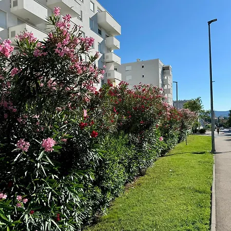 Restart - Free Garage Parking Ζαντάρ